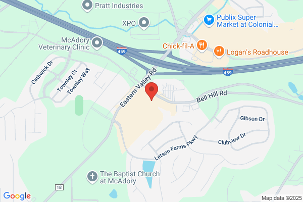 Advance Auto Parts