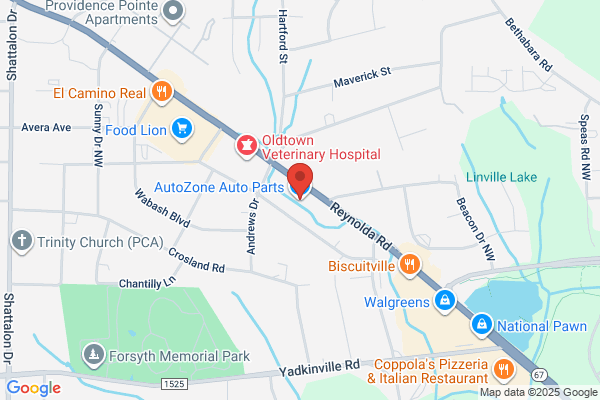 AutoZone Auto Parts