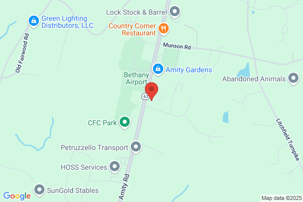 Amity Dental Care Inc
