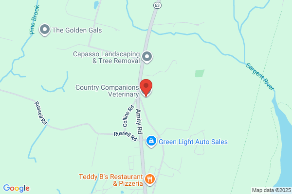 Country Companions LLC