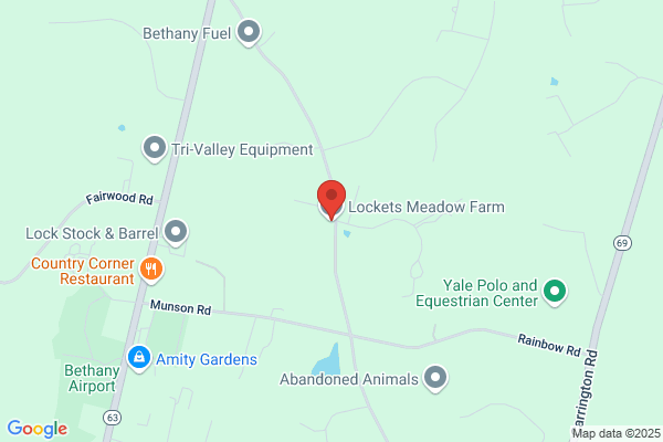 Lockets Meadow Riding Stables