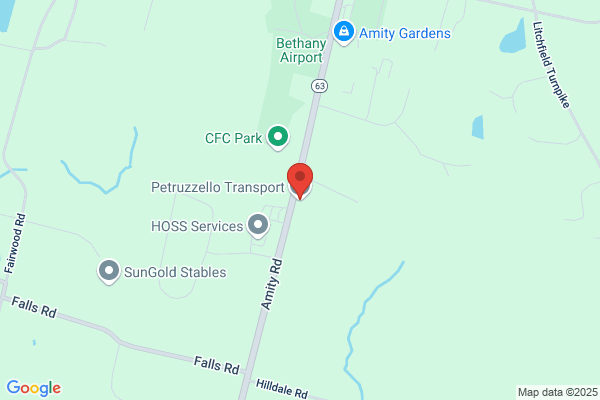 Petruzzello Transport Inc