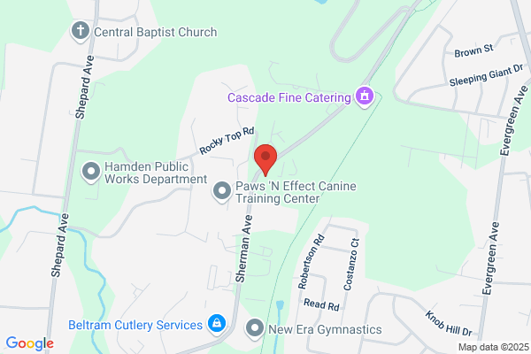 Woodbridge Estate Care