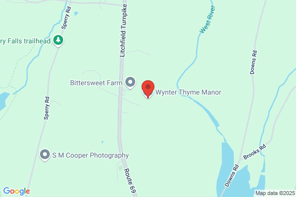 Wynter Thyme Manor - Morgan Horses 4th Gen: Lessons, Boarding, Training and Sales