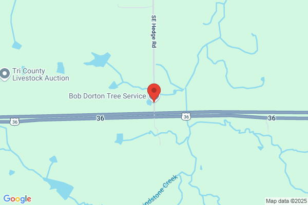 Dorton Tree Service