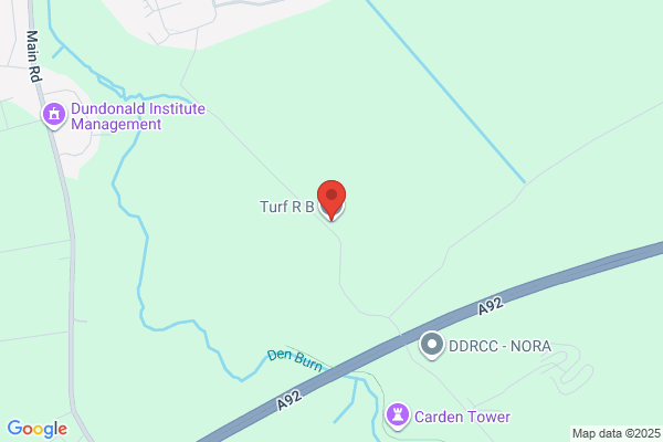 R&B Turf&Tree