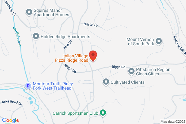 Italian Village Pizza