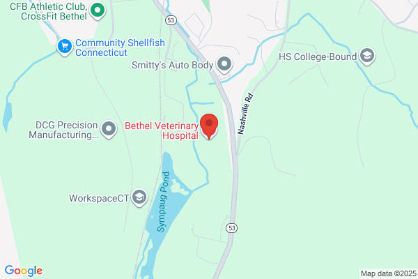 Bethel Veterinary Hospital