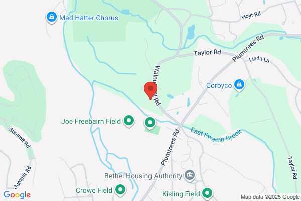New England Tree Movers