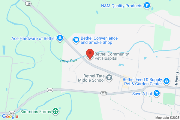 Bethel Community Pet Hospital