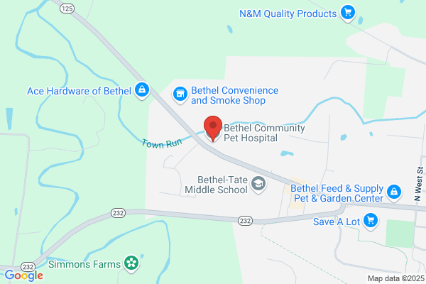 Bethel-Tate Veterinary Hospital