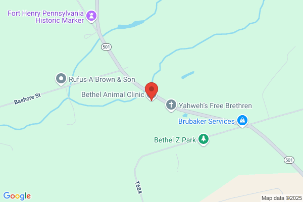 Bethel Animal Clinic