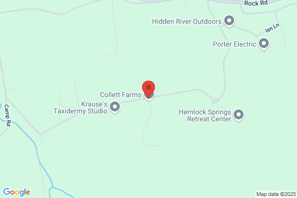 Rock Ridge Hunting & Game Farm