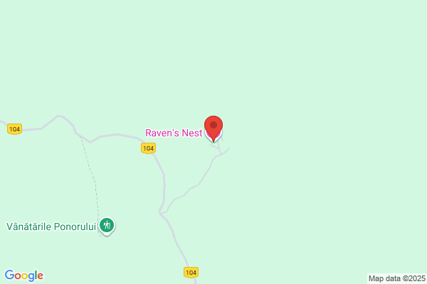 Raven's Nest