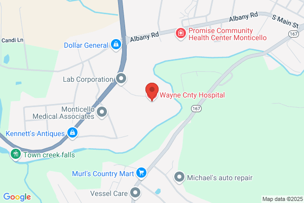 Wayne County Hospital Inc