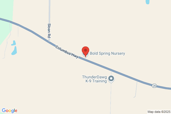 Bold Springs Nursery