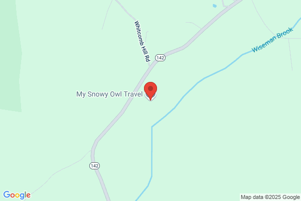 Snelling Travel
