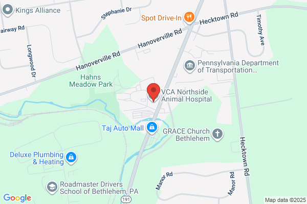 VCA Northside Animal Hospital