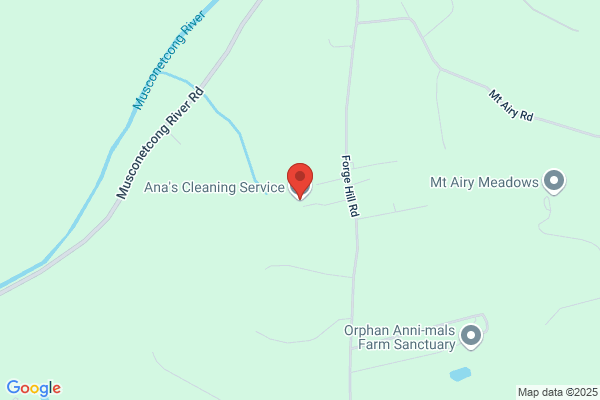 Anna Cleaning Service Inc.