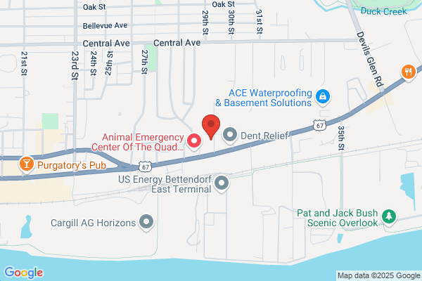 Jc Dubil Auto Parts