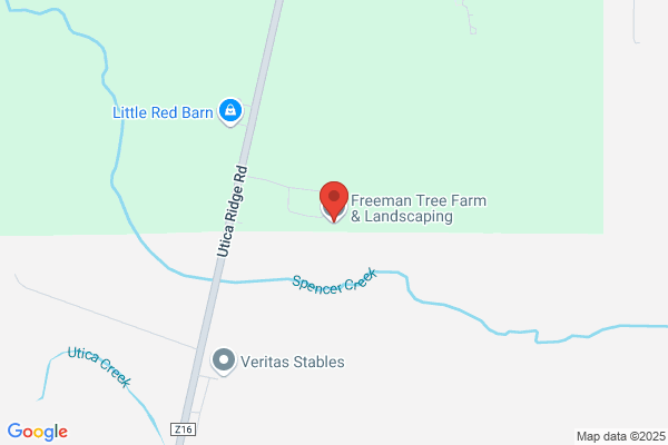 Freeman Tree Farm & Landscaping