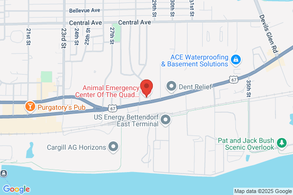Animal Emergency Center Of The Quad Cities