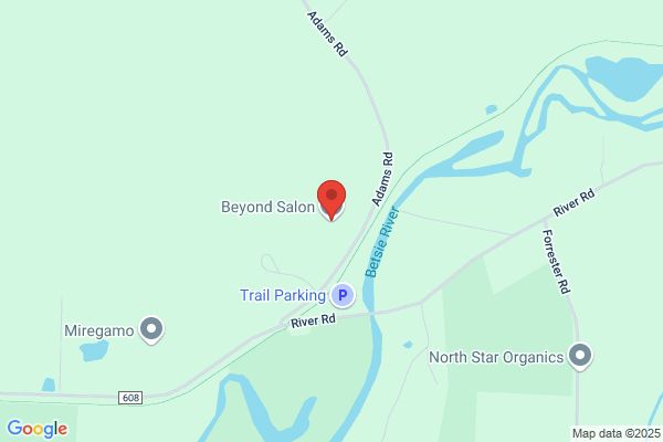 Beyond Salon