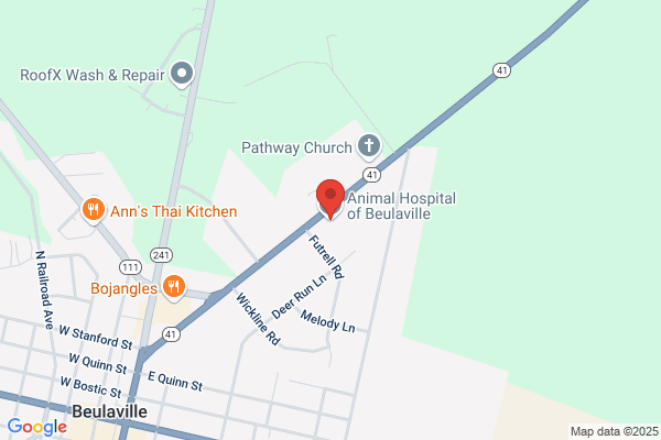Animal Hospital of Beulaville