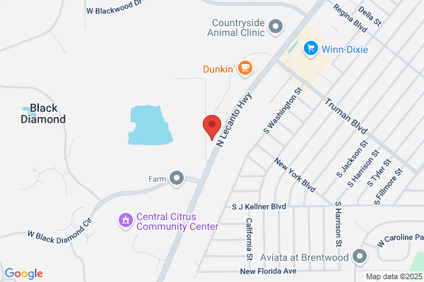 George's Wholesale Tire Pros