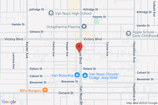Bailout Bail Bonds