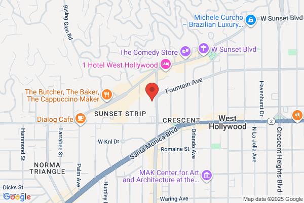 Los Angeles Limo VIP