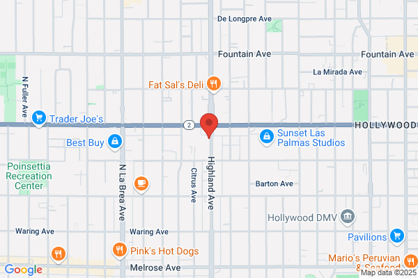 D Pet Hotels Hollywood