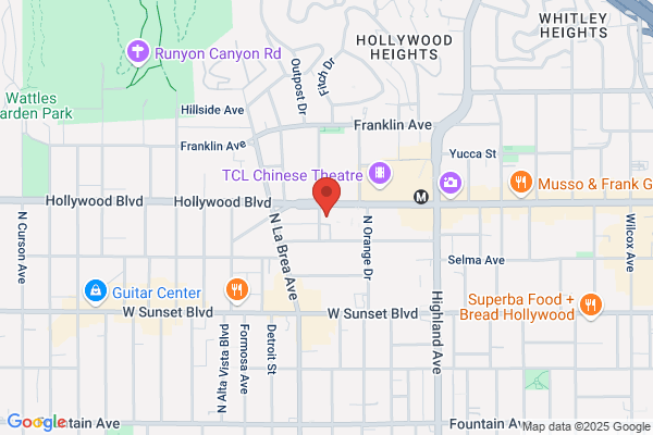 Hollywood Bus Tours