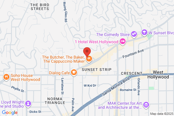 Catapult Interactive