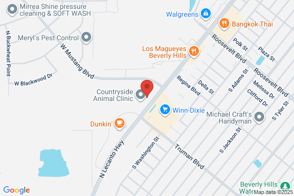 Beverly Hills Eye Clinic