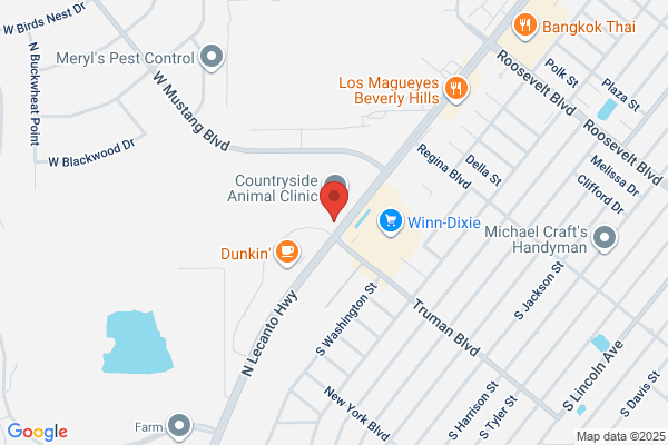 AutoZone Auto Parts