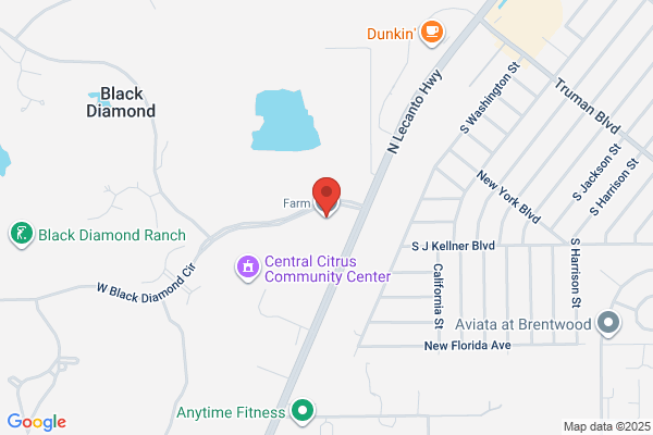 Black Diamond Realty Inc, Sales
