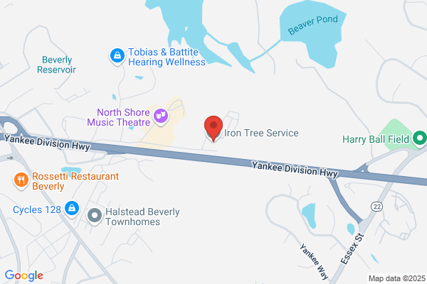 Iron Tree Service