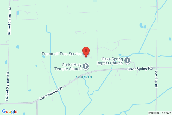 Trammell Tree Service
