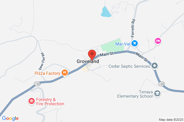 Groveland Southside Pet Clinic Dr Van Gerpen