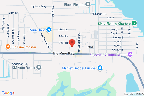 Big Pine Storage