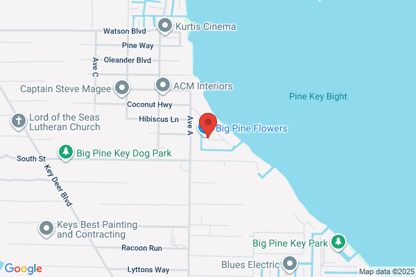 Hot Rod Fishing Charters
