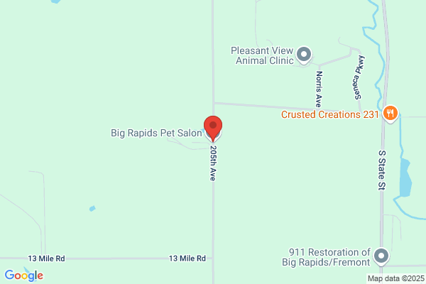 Big Rapids Pet Salon