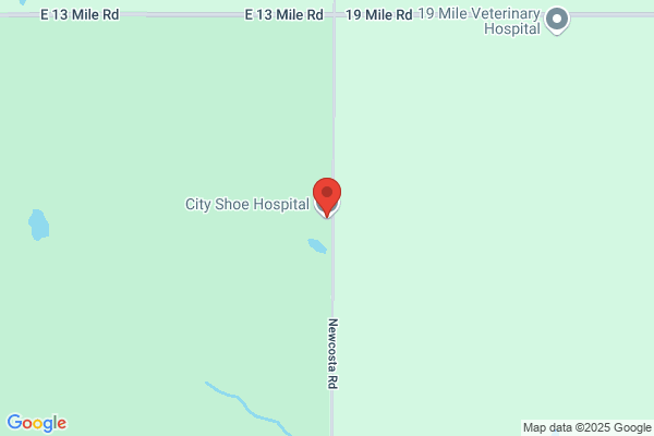 City Shoe Hospital