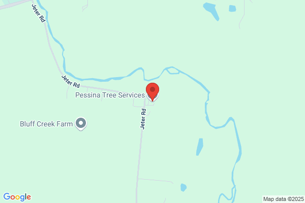 Pessina Tree Service