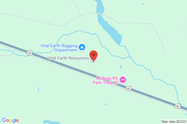 Vital Earth