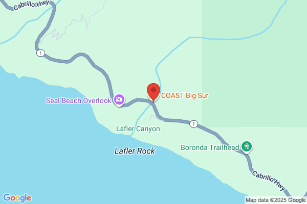 COAST Big Sur