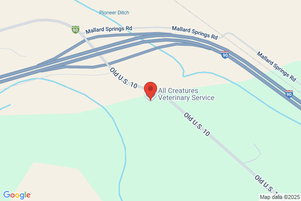 All Creatures Veterinary Service