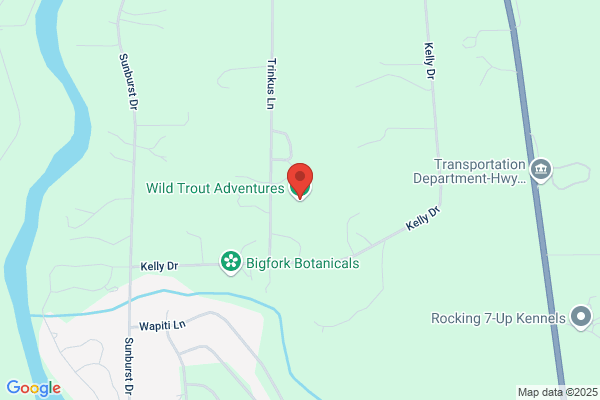 Wild Trout Adventures