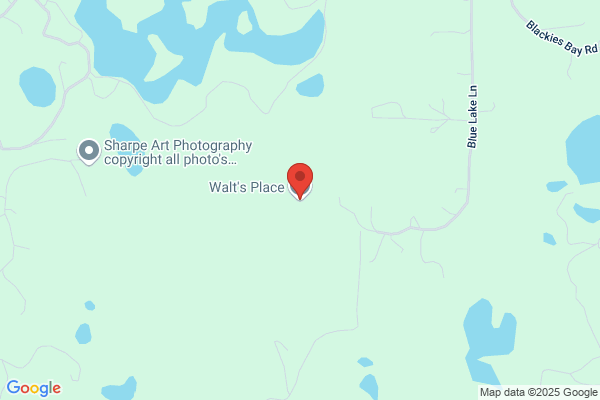 Walt's Place